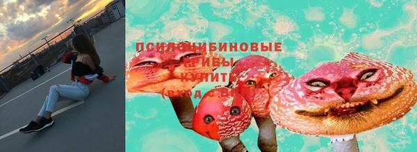 стаф Абдулино
