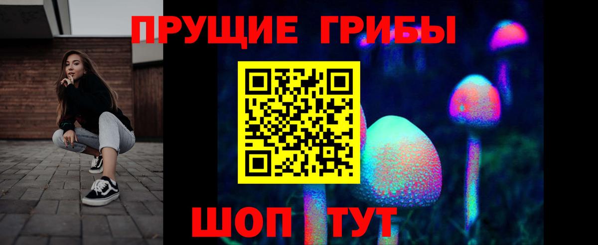 Галлюциногенные грибы Psilocybe Нижневартовск